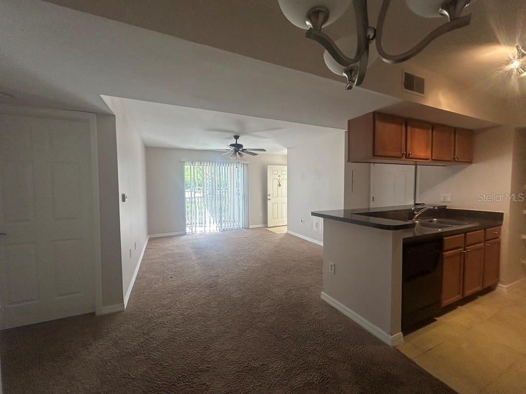 703 PARSONS LAKE PATH #104, BRANDON, FL, 33511