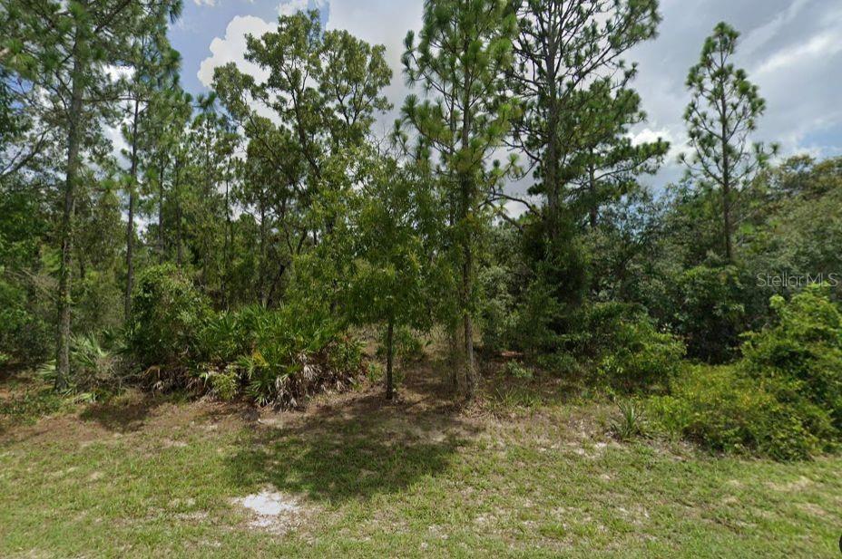 0 PAINTED BUNTING AVE, WEEKI WACHEE, FL, 34614