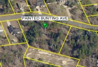 0 PAINTED BUNTING AVE, WEEKI WACHEE, FL, 34614