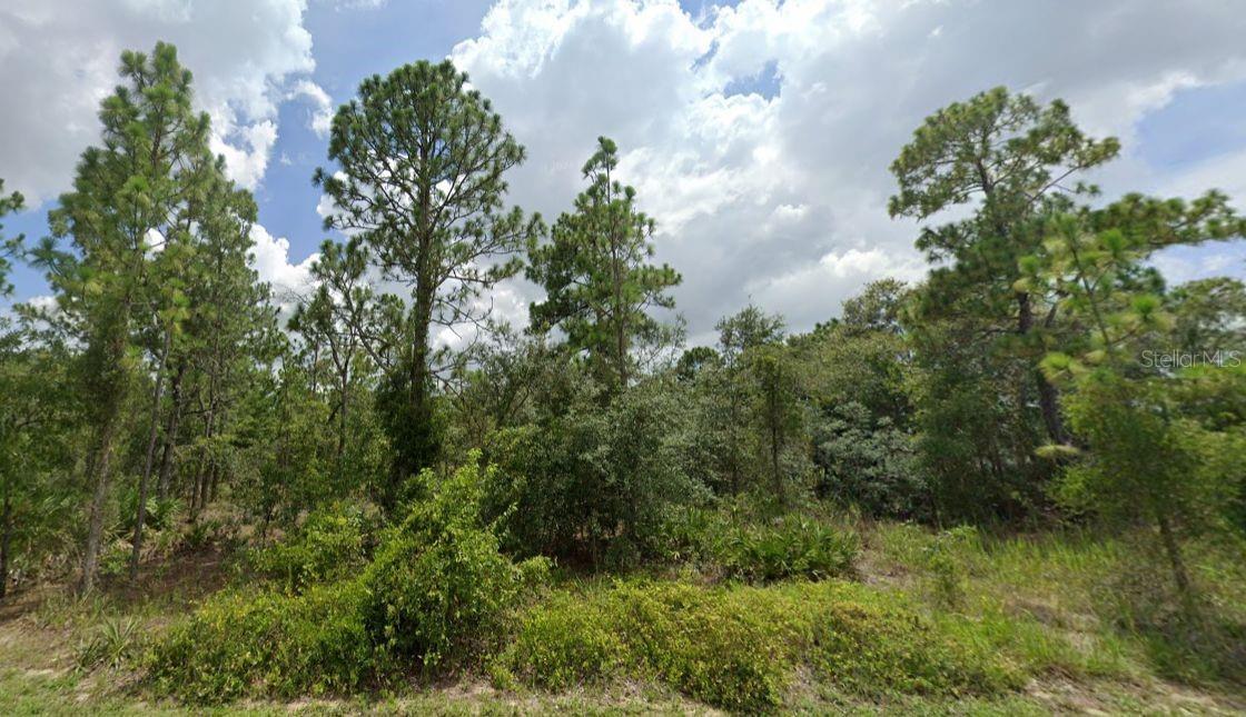 0 PAINTED BUNTING AVE, WEEKI WACHEE, FL, 34614