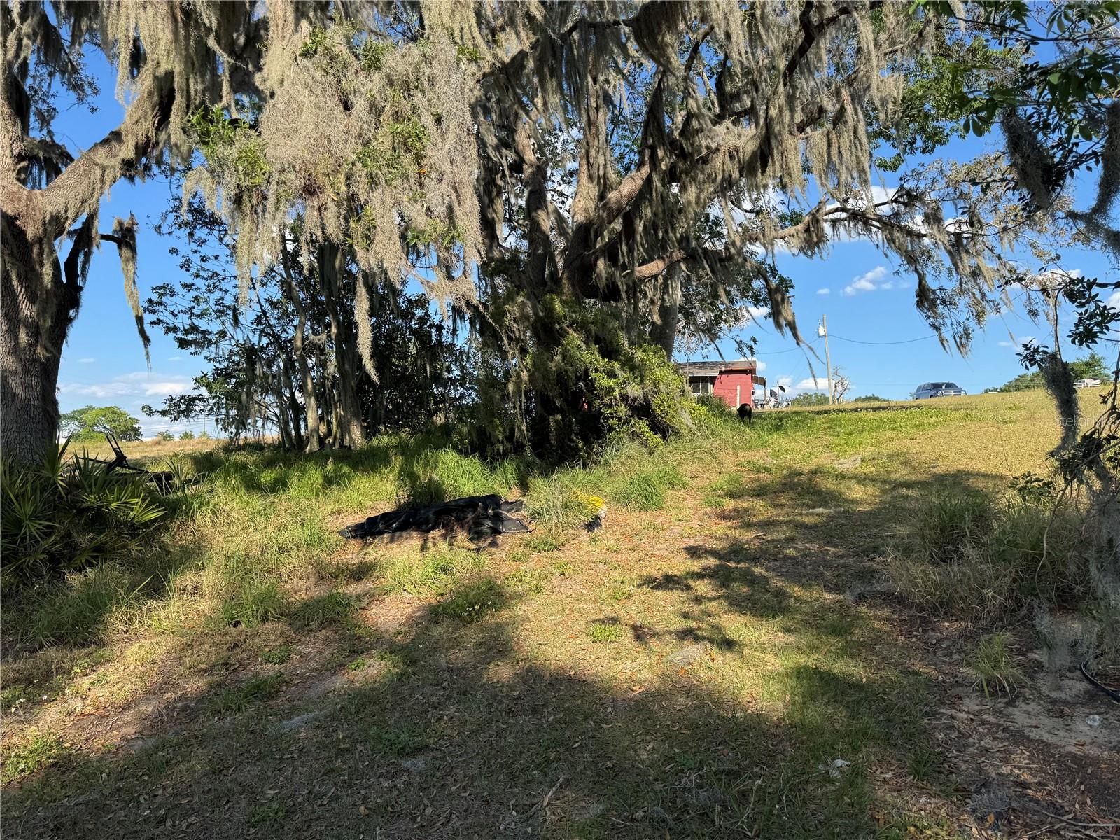 1350 S SCENIC HWY, FROSTPROOF, FL, 33843