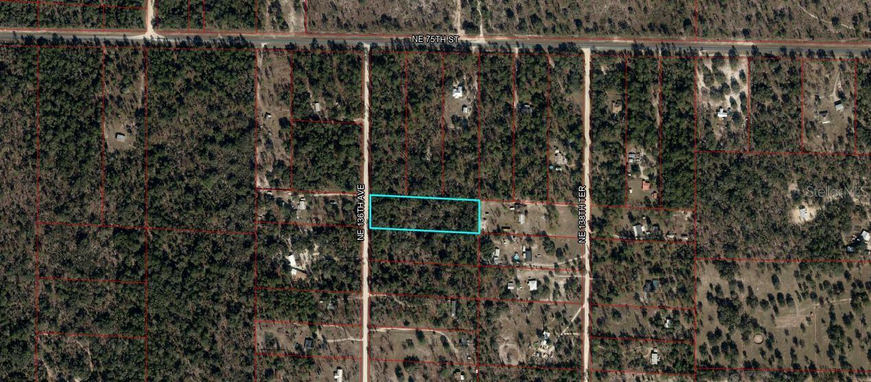 TBD NE 136TH AVE, BRONSON, FL, 32621