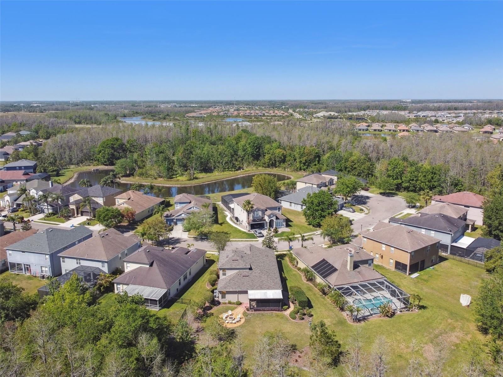 4336 WATERVILLE AVE, WESLEY CHAPEL, FL, 33543