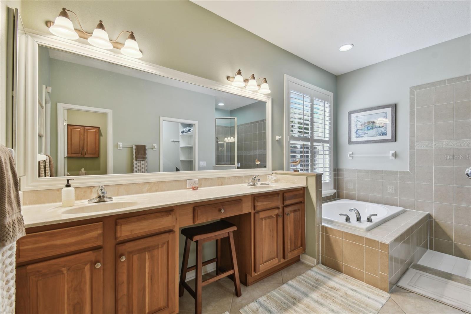 4336 WATERVILLE AVE, WESLEY CHAPEL, FL, 33543