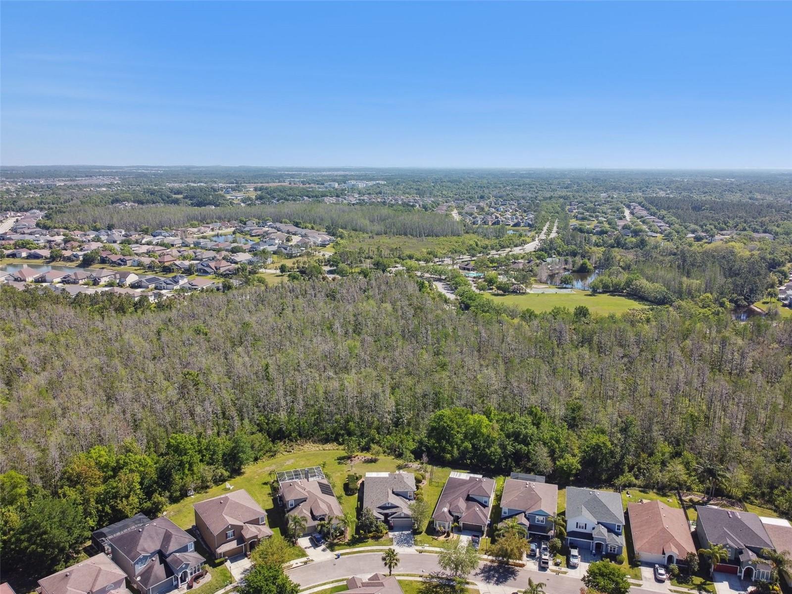 4336 WATERVILLE AVE, WESLEY CHAPEL, FL, 33543