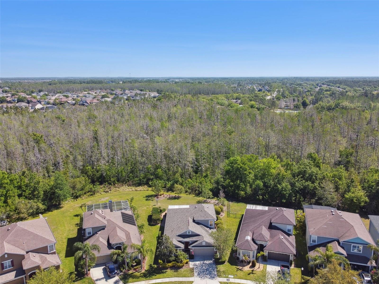 4336 WATERVILLE AVE, WESLEY CHAPEL, FL, 33543