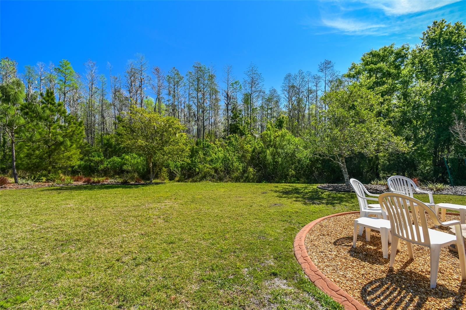 4336 WATERVILLE AVE, WESLEY CHAPEL, FL, 33543