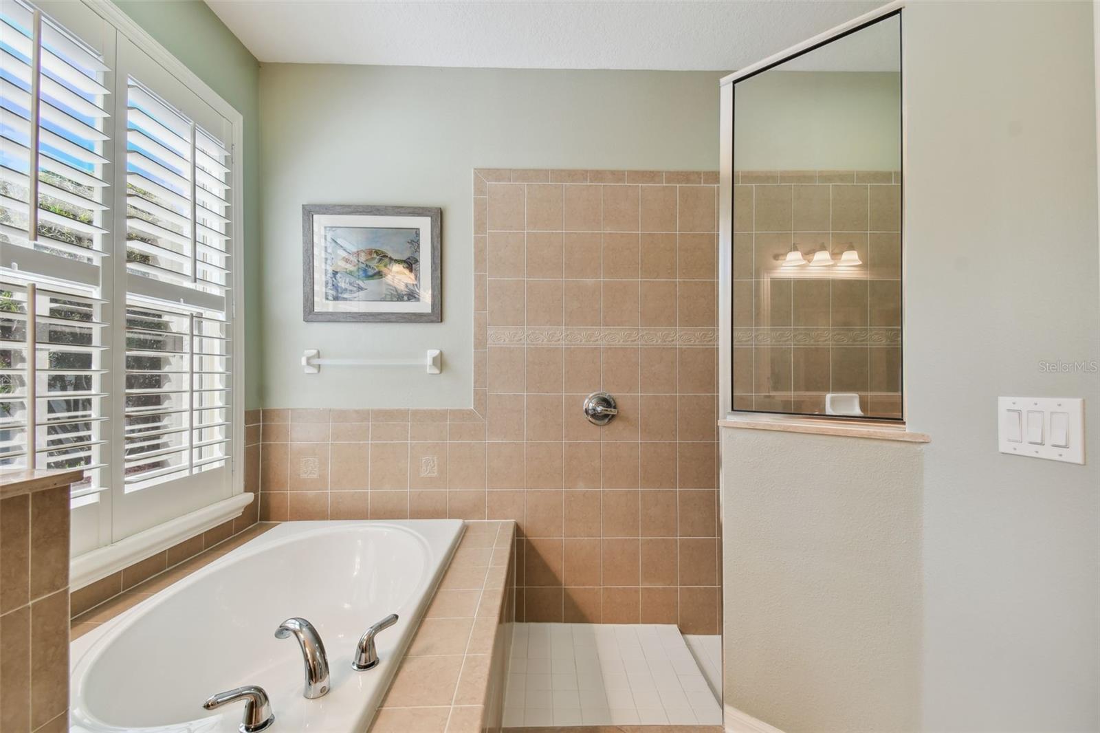 4336 WATERVILLE AVE, WESLEY CHAPEL, FL, 33543