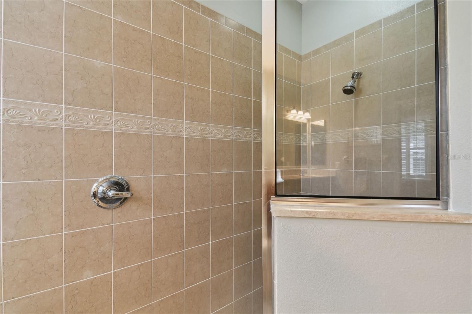 4336 WATERVILLE AVE, WESLEY CHAPEL, FL, 33543