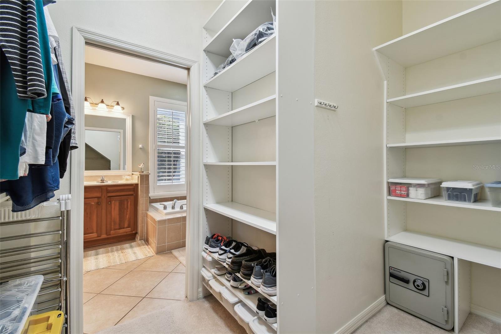 4336 WATERVILLE AVE, WESLEY CHAPEL, FL, 33543