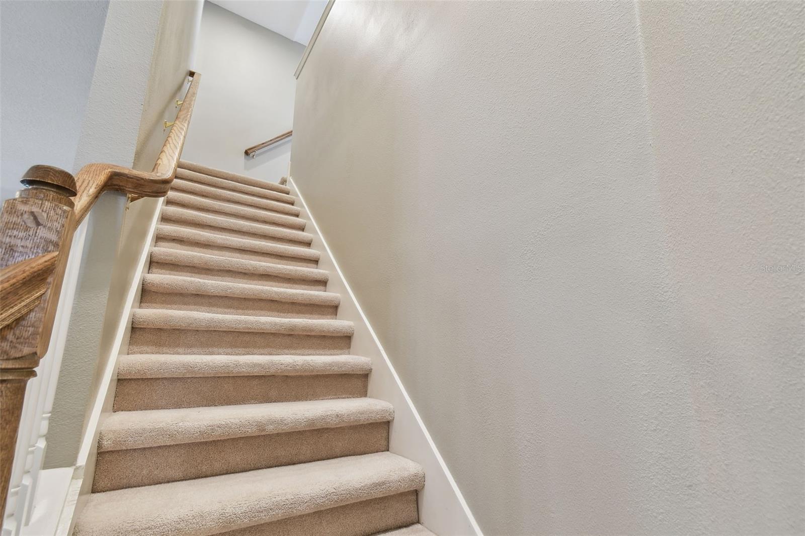 4336 WATERVILLE AVE, WESLEY CHAPEL, FL, 33543