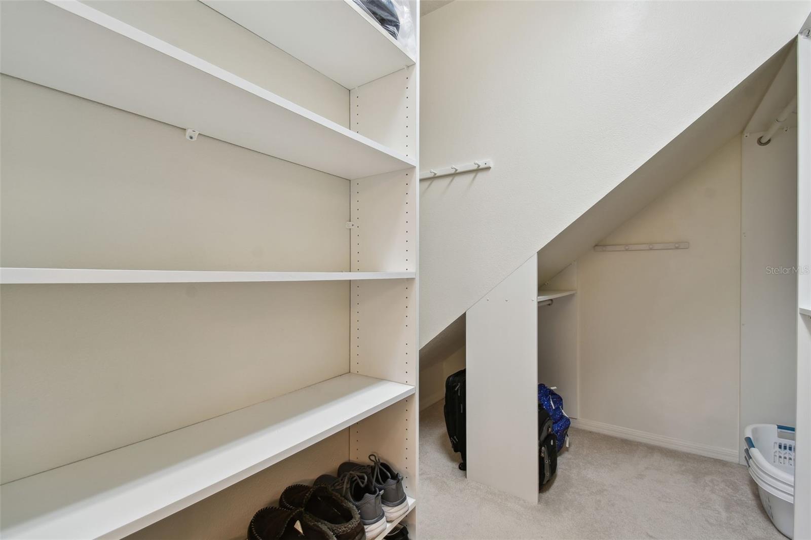 4336 WATERVILLE AVE, WESLEY CHAPEL, FL, 33543