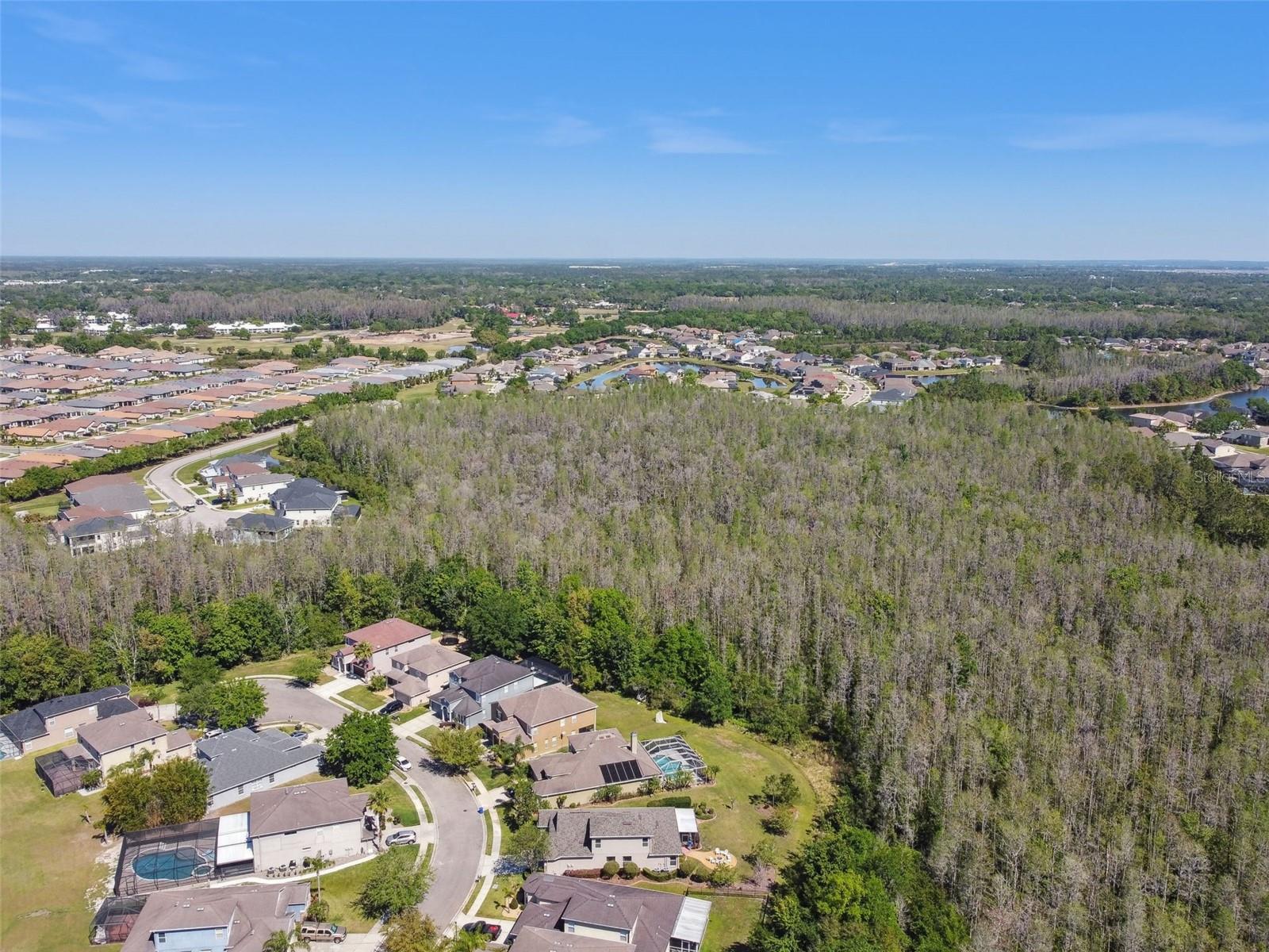 4336 WATERVILLE AVE, WESLEY CHAPEL, FL, 33543