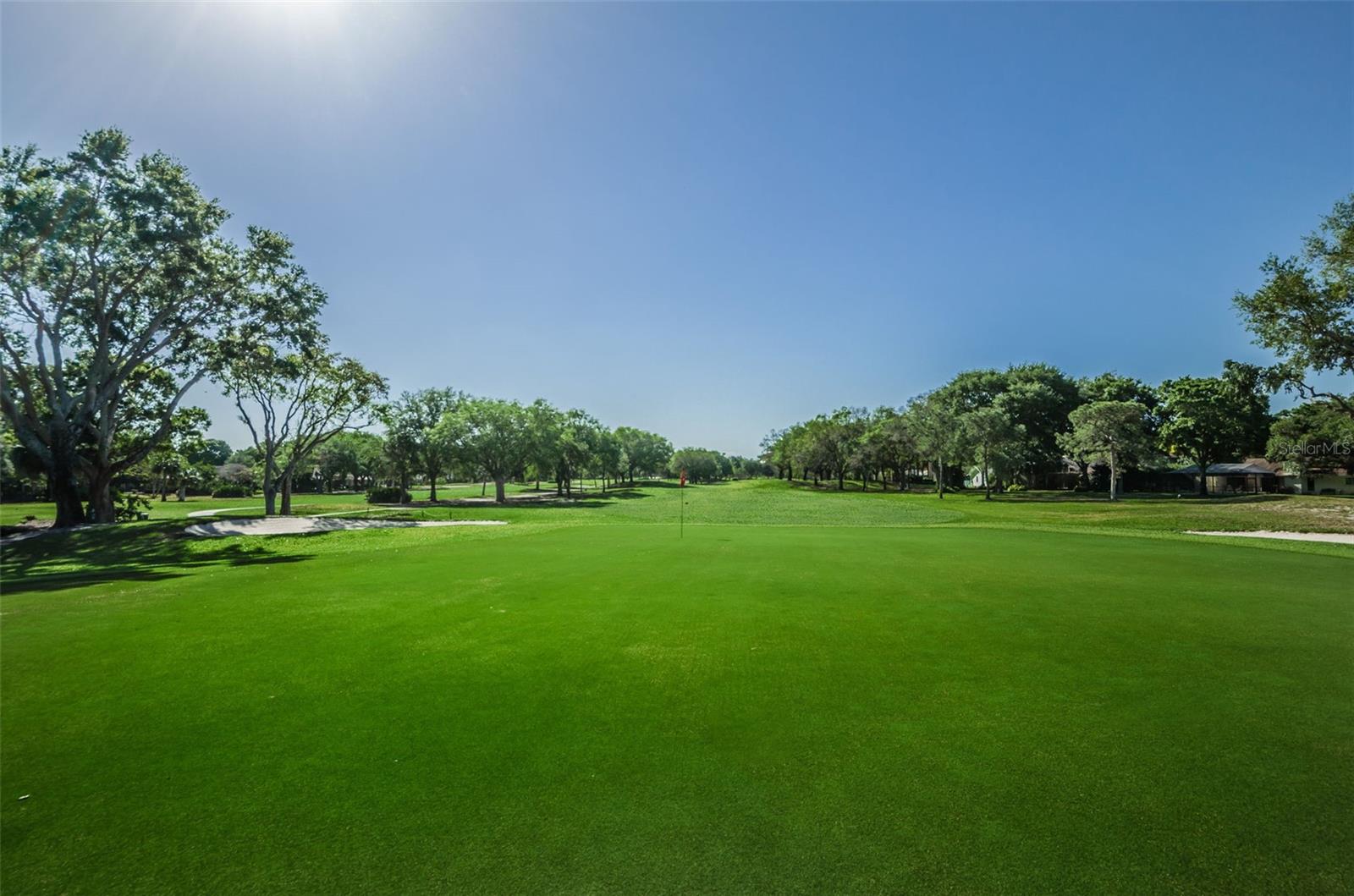 3021 COUNTRYSIDE BLVD #24A, CLEARWATER, FL, 33761