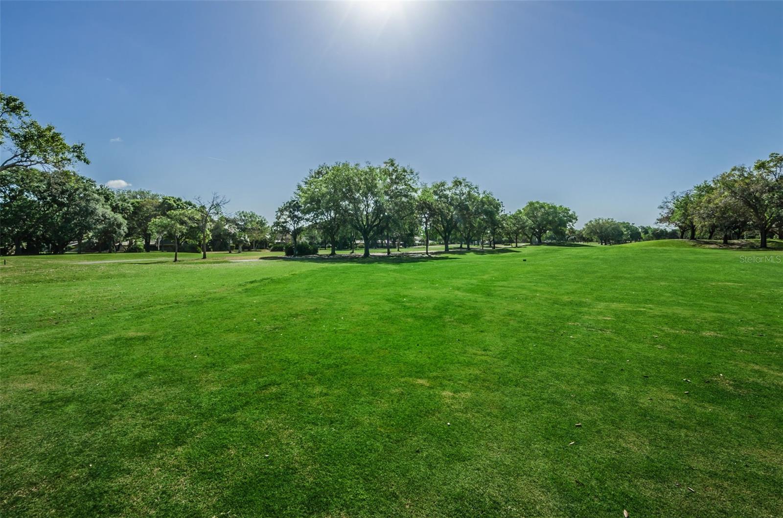 3021 COUNTRYSIDE BLVD #24A, CLEARWATER, FL, 33761
