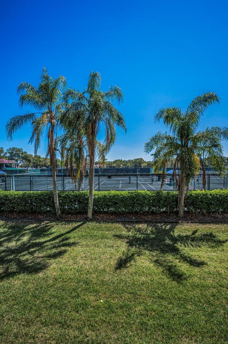 3021 COUNTRYSIDE BLVD #24A, CLEARWATER, FL, 33761