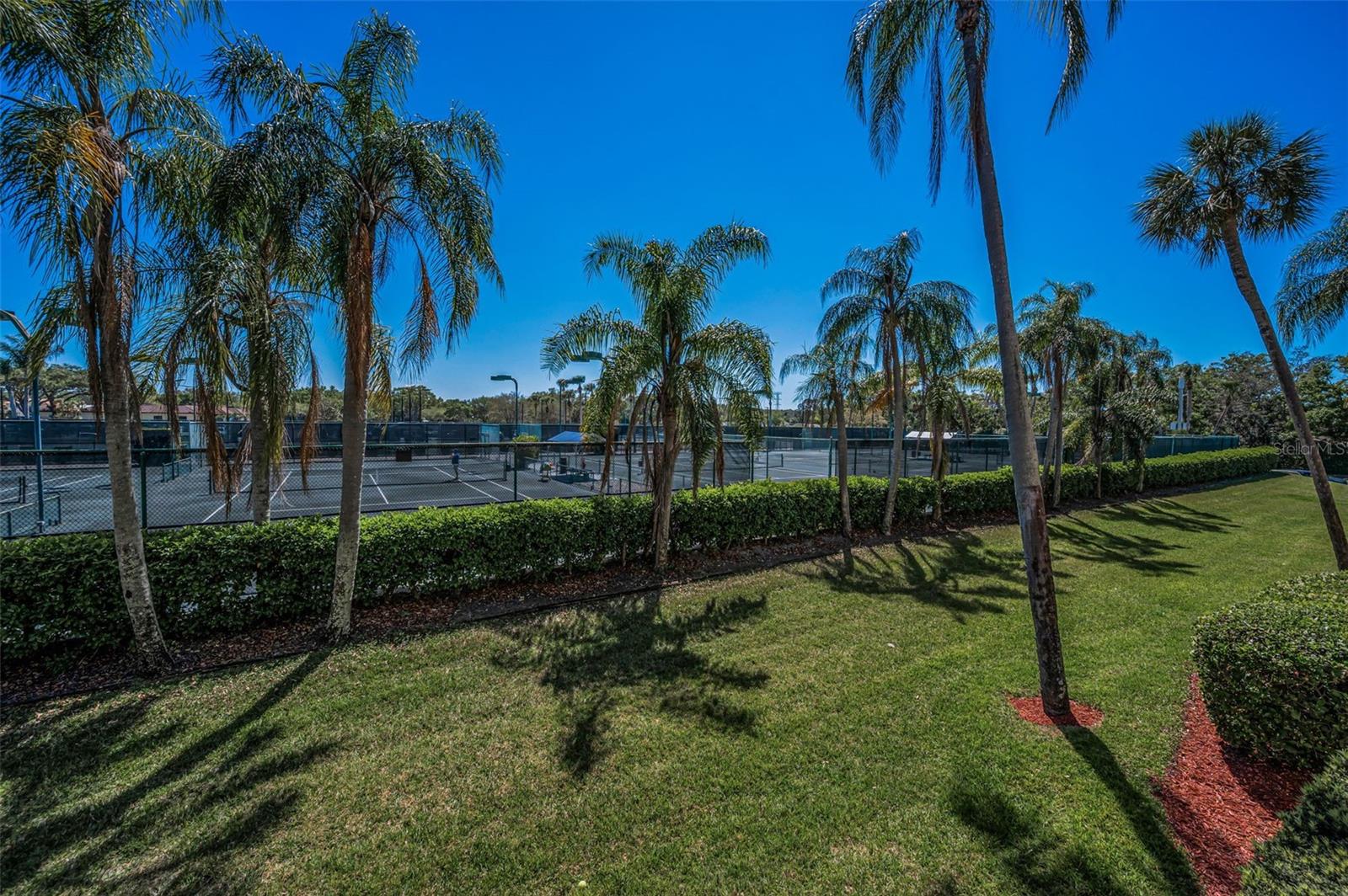 3021 COUNTRYSIDE BLVD #24A, CLEARWATER, FL, 33761