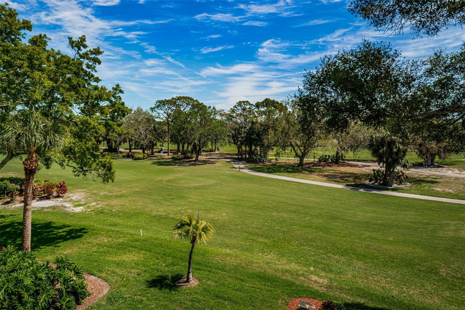 3021 COUNTRYSIDE BLVD #24A, CLEARWATER, FL, 33761