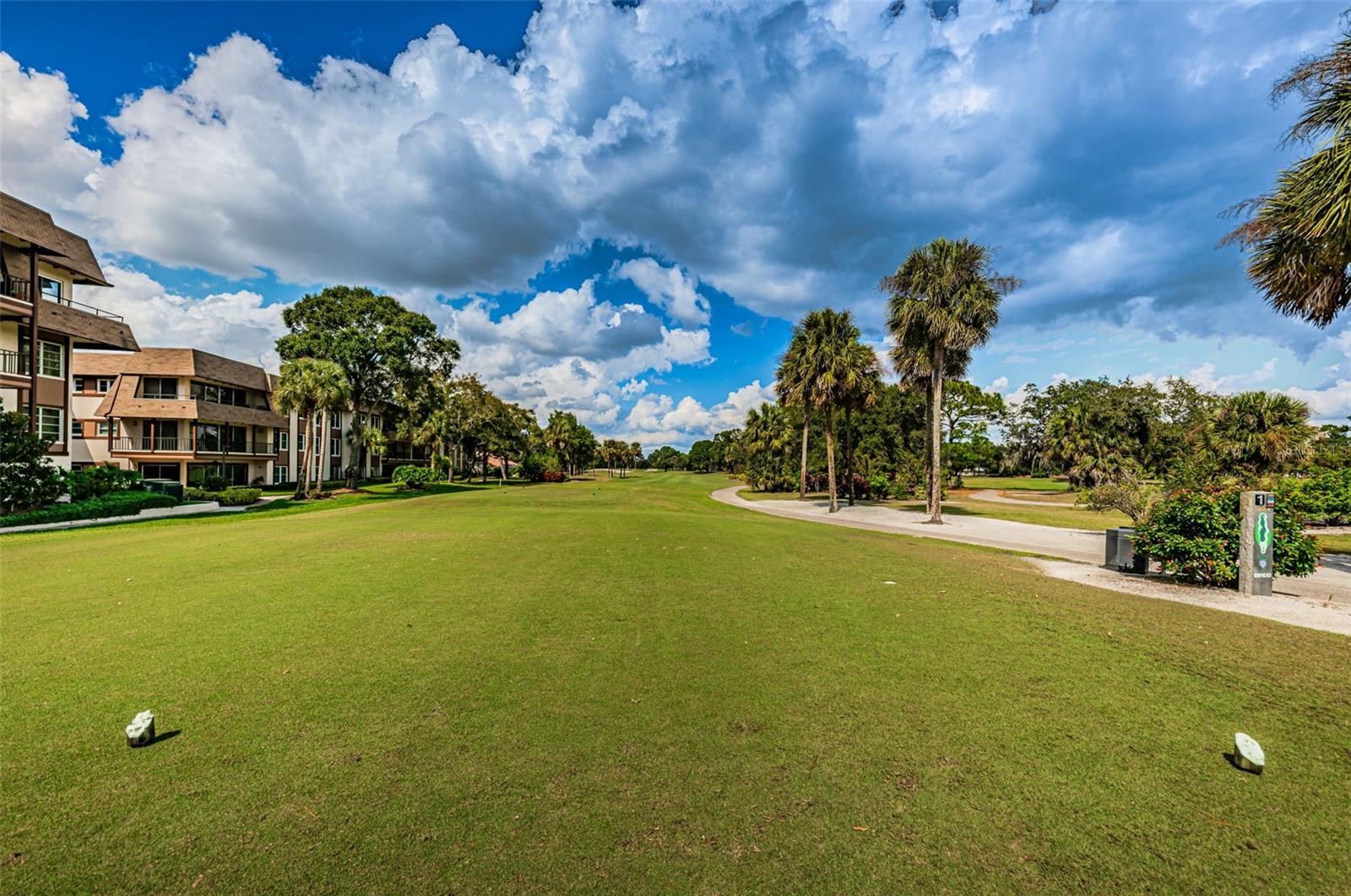 3021 COUNTRYSIDE BLVD #24A, CLEARWATER, FL, 33761