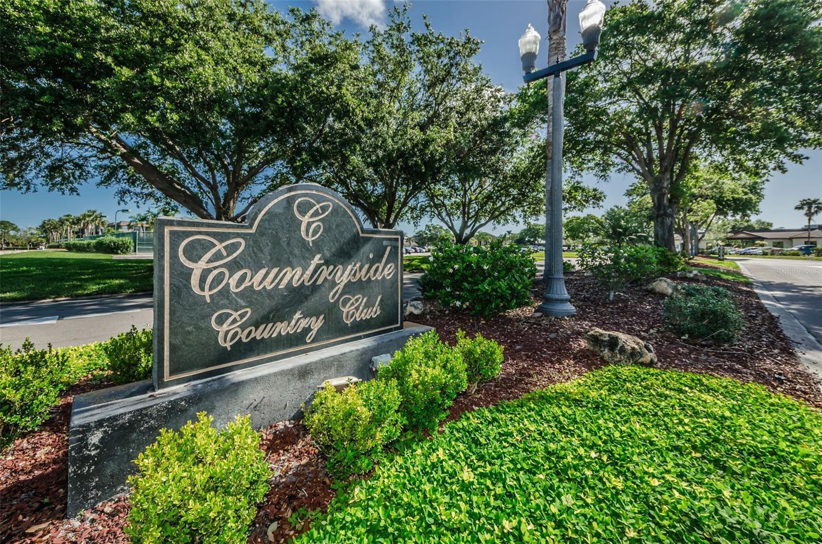 3021 COUNTRYSIDE BLVD #24A, CLEARWATER, FL, 33761