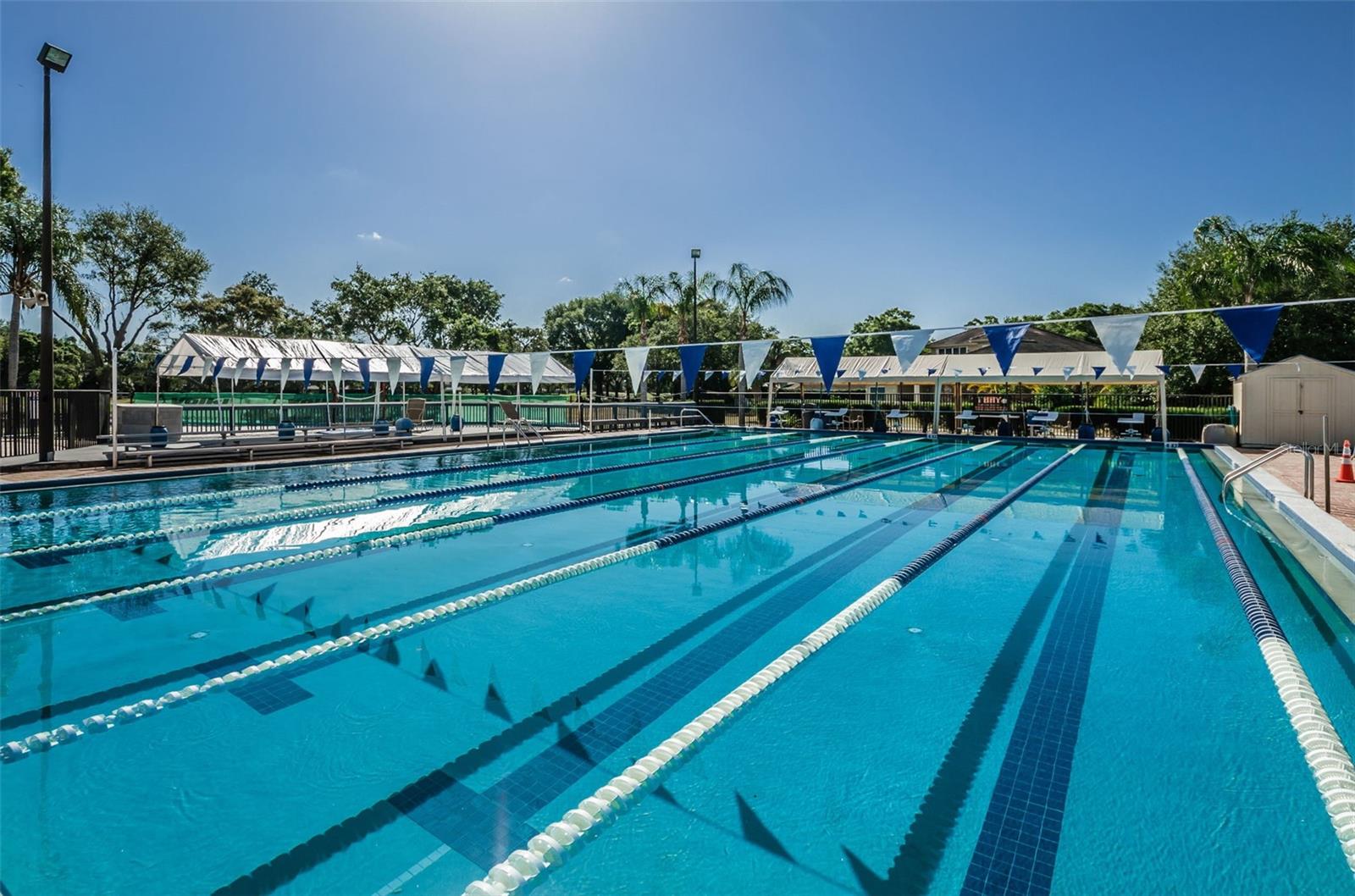 3021 COUNTRYSIDE BLVD #24A, CLEARWATER, FL, 33761