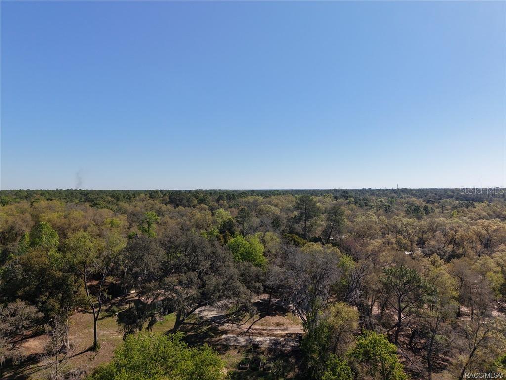 1321 E AMBERJACK DR, HERNANDO, FL, 34442