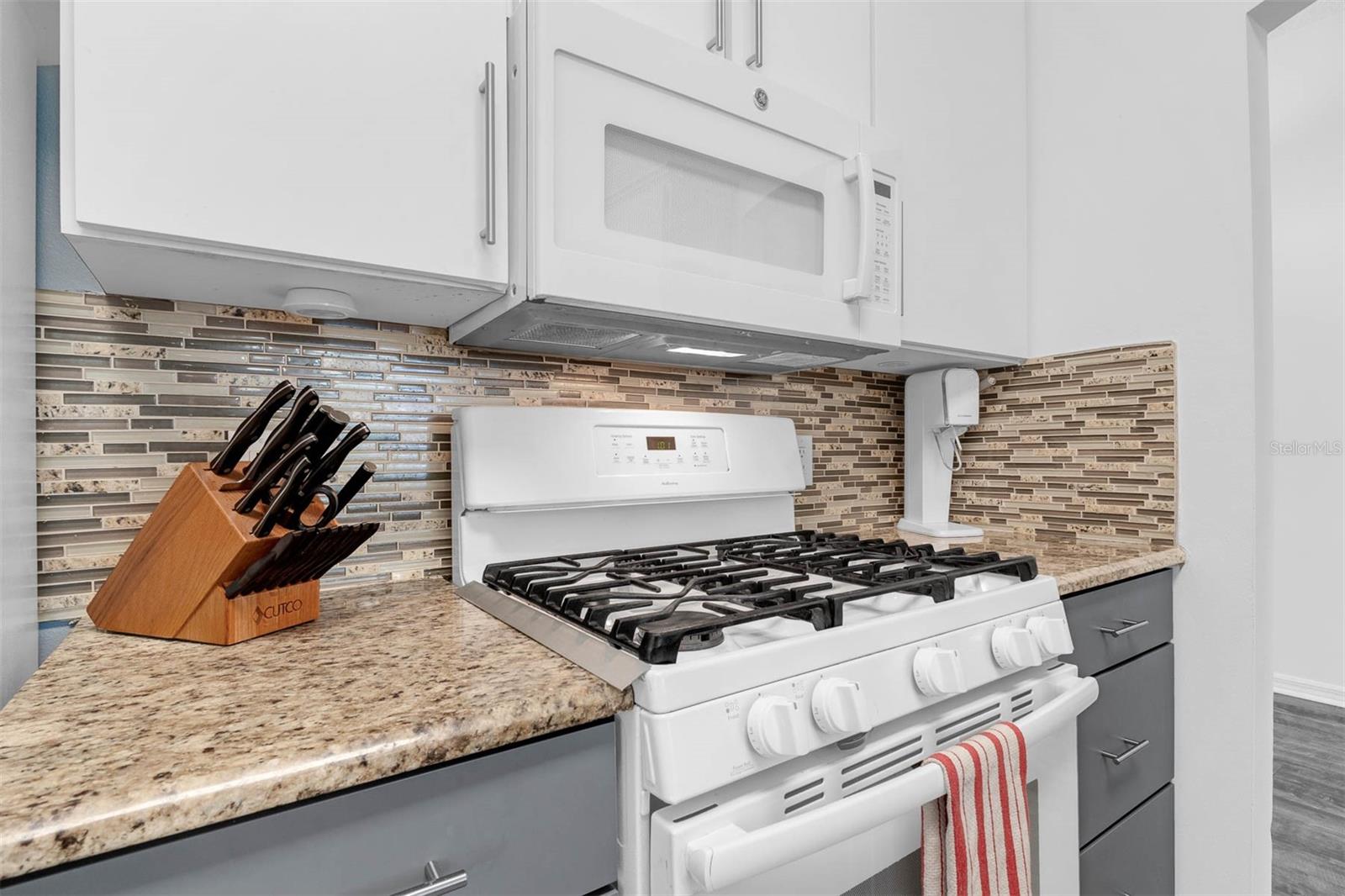 33215 KAYLEE WAY, LEESBURG, FL, 34788