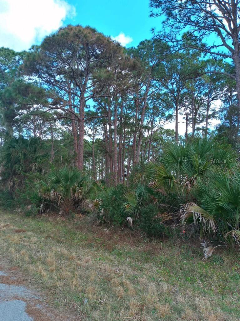 12147 KRAFT AVE, PORT CHARLOTTE, FL, 33953