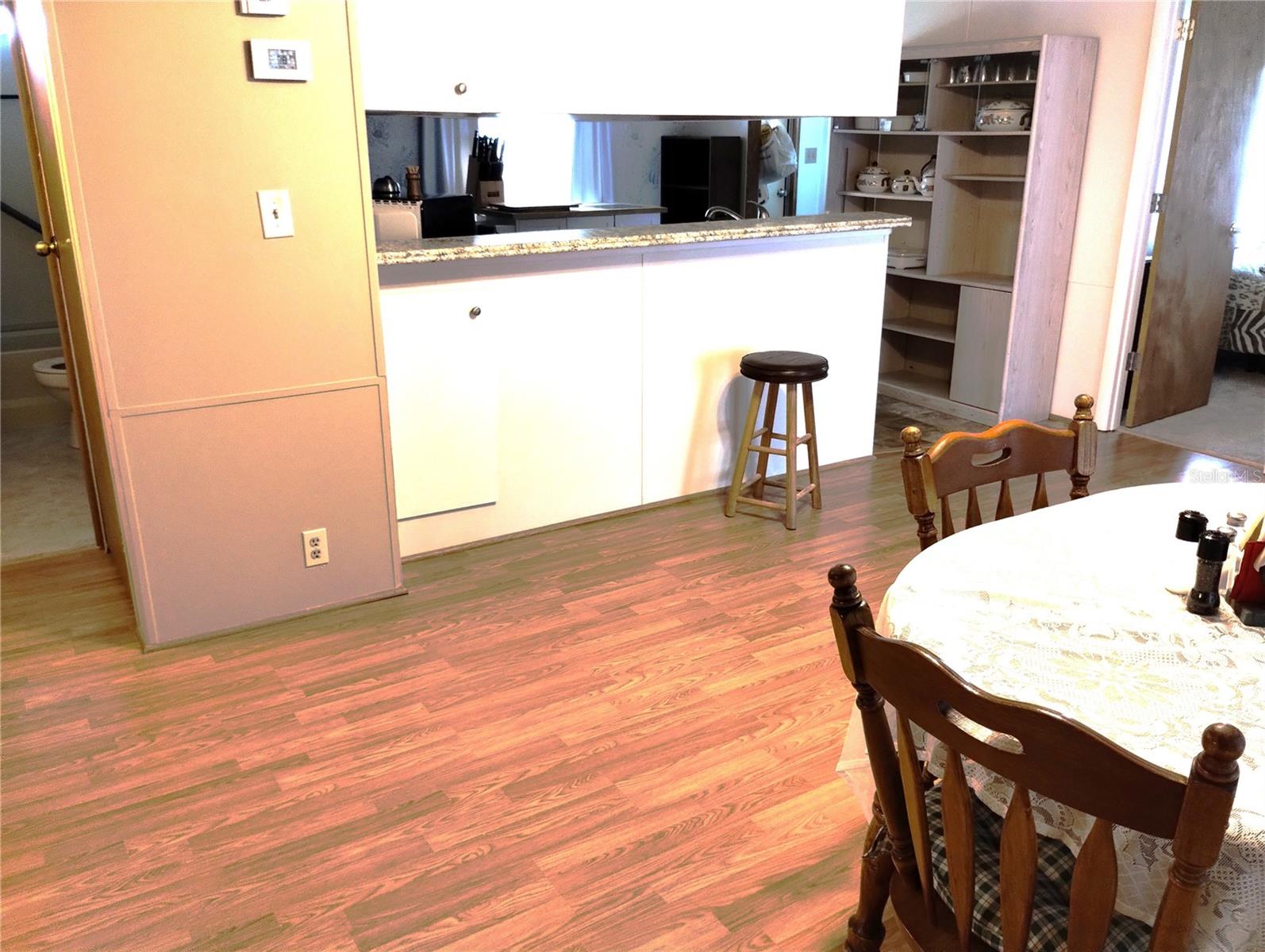 4100 CAREFREE WAY, ZEPHYRHILLS, FL, 33541