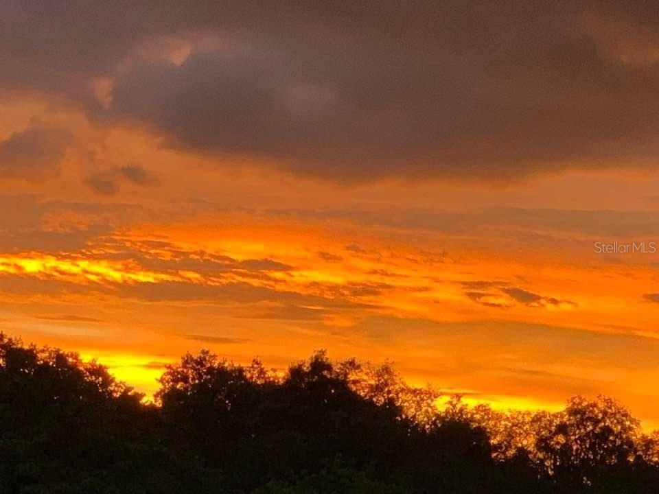 12639 LEMON PEPPER DR, RIVERVIEW, FL, 33578