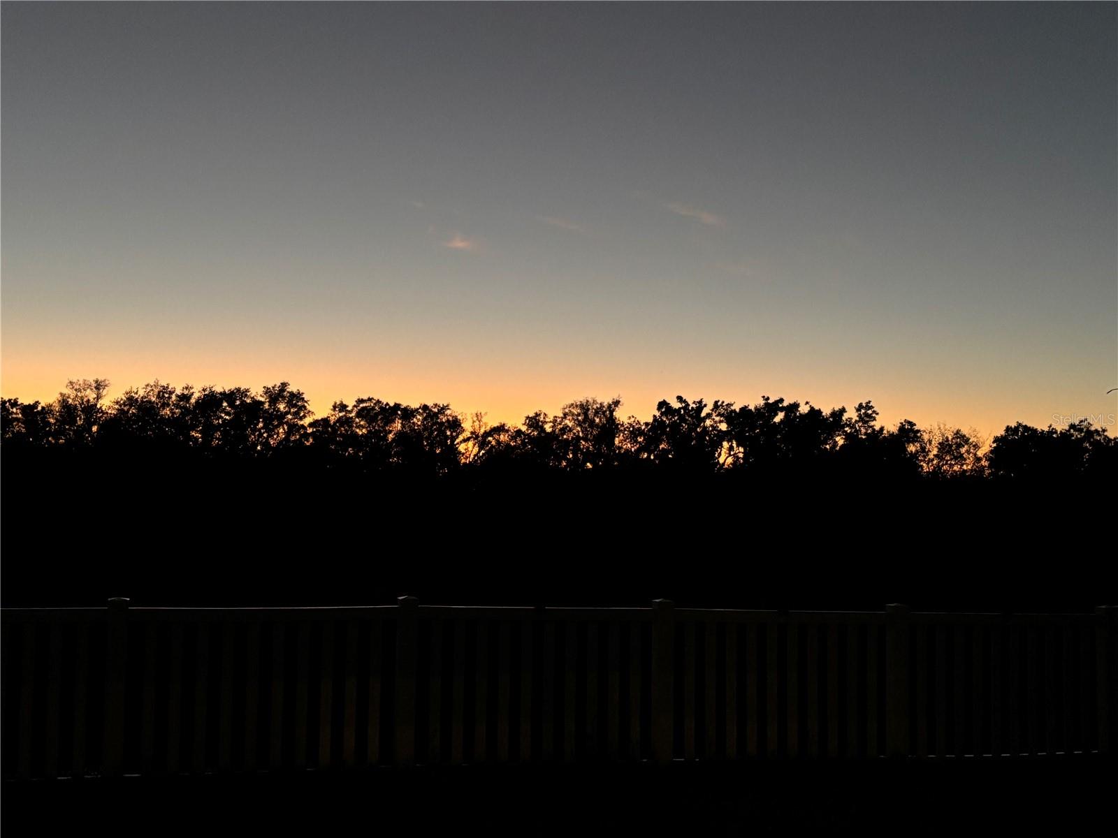 12639 LEMON PEPPER DR, RIVERVIEW, FL, 33578