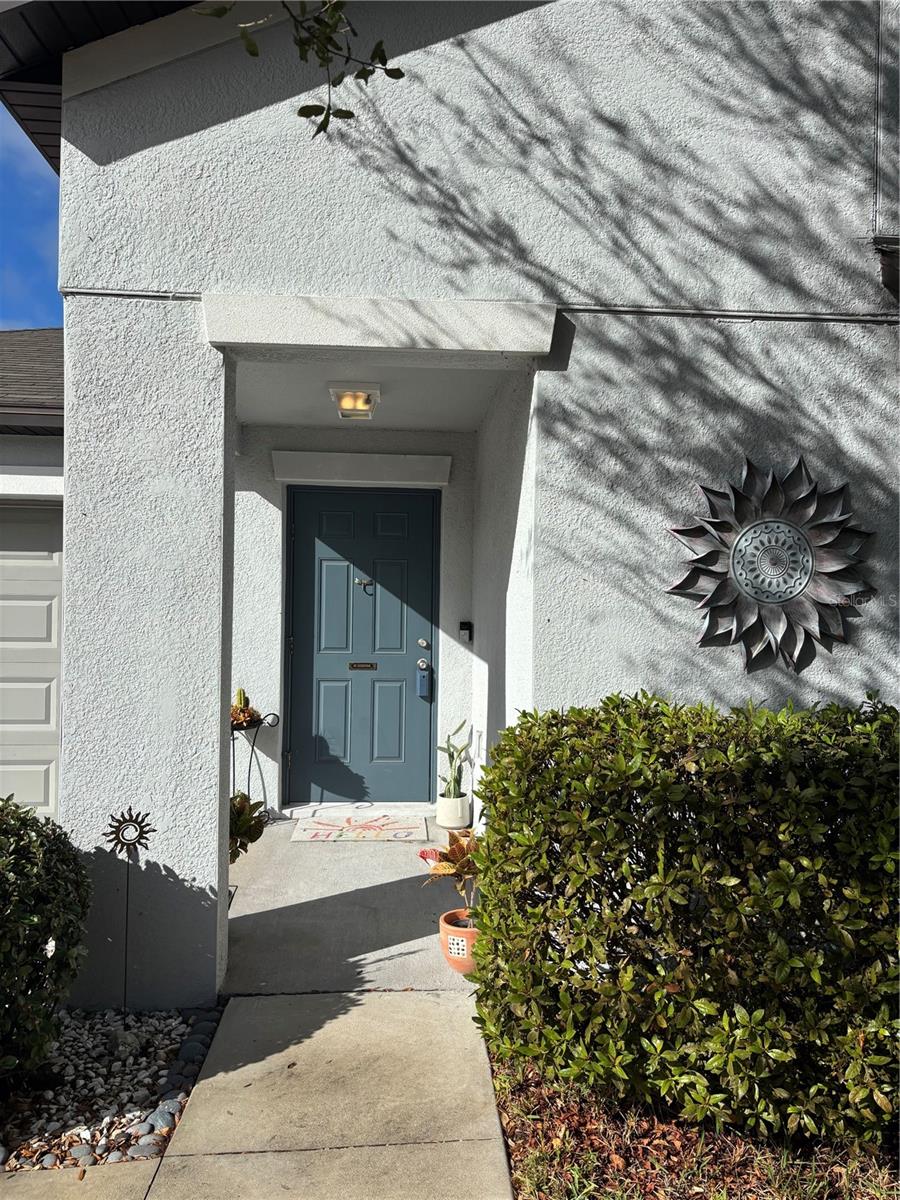 12639 LEMON PEPPER DR, RIVERVIEW, FL, 33578