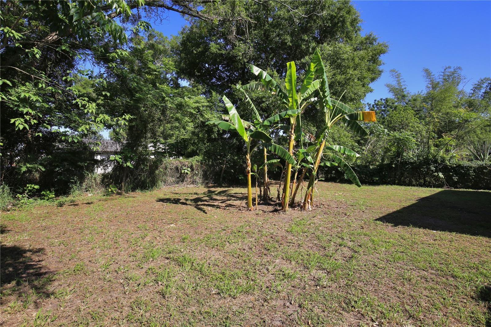 1475 LOWRIE AVE, ORLANDO, FL, 32805