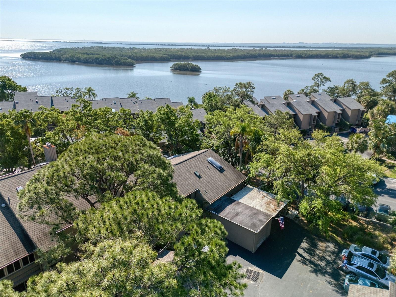 1111 N BAYSHORE BLVD #E3, CLEARWATER, FL, 33759