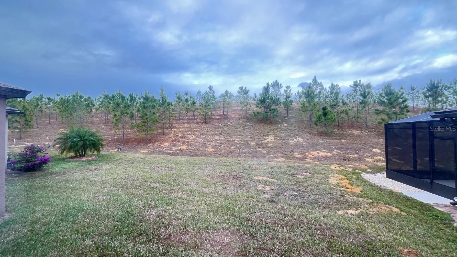 333 ALMANSA ST, DAVENPORT, FL, 33837