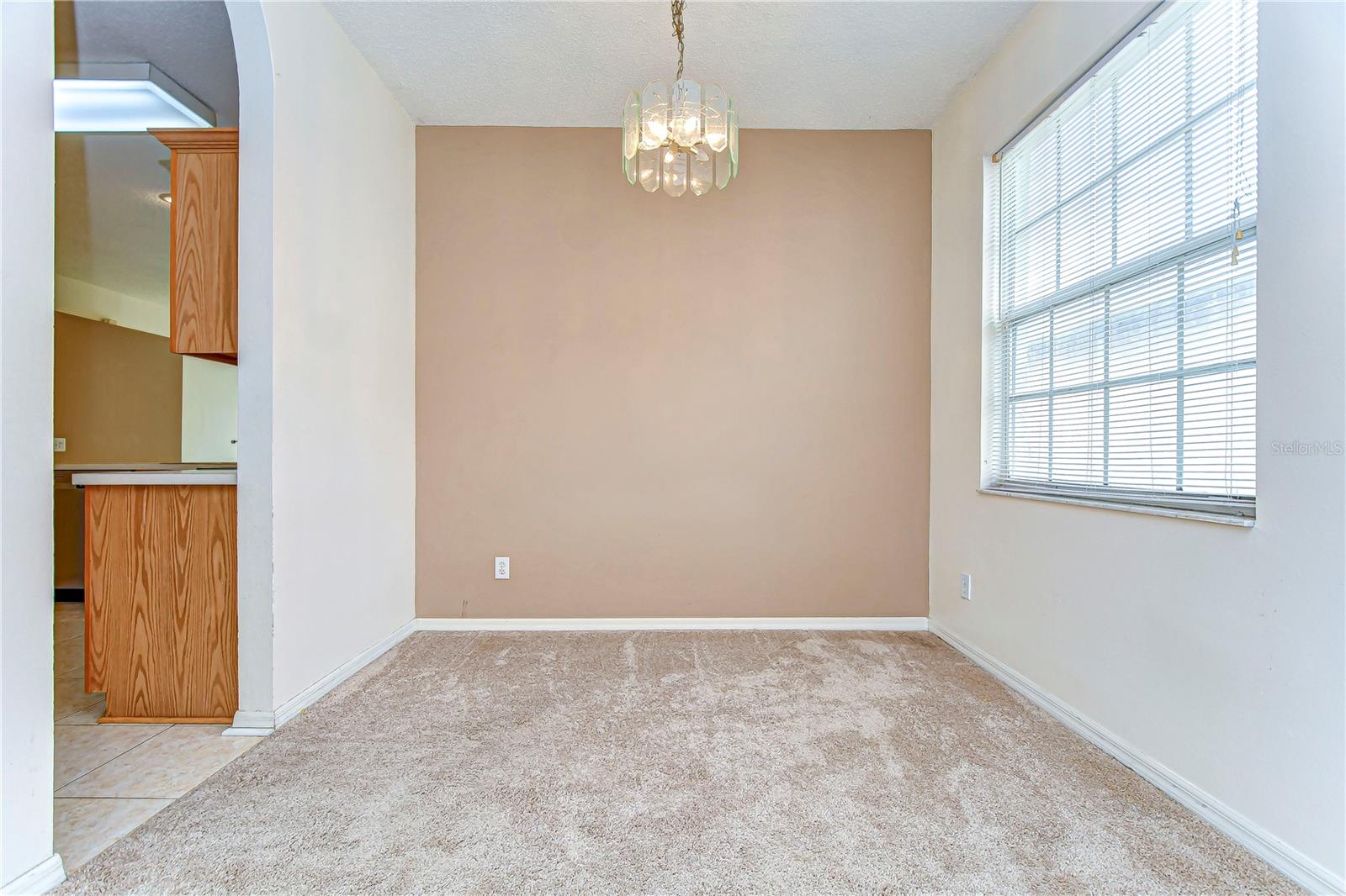 13552 MERE VIEW DR, ODESSA, FL, 33556