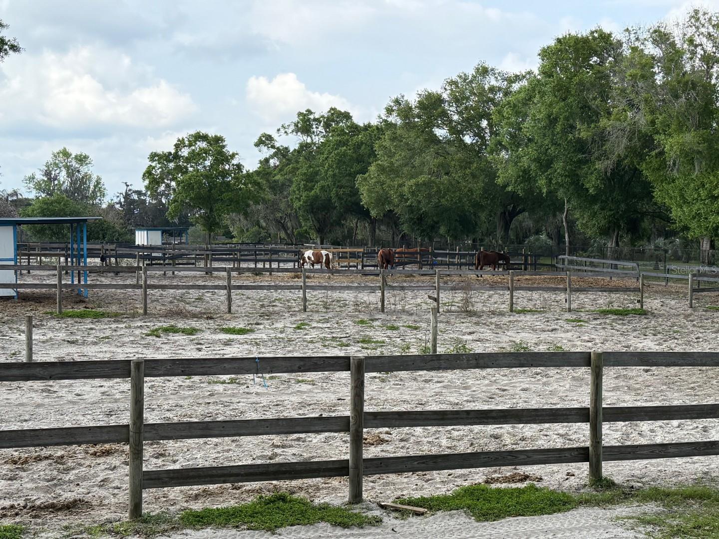 16315 MCGLAMERY RD, ODESSA, FL, 33556