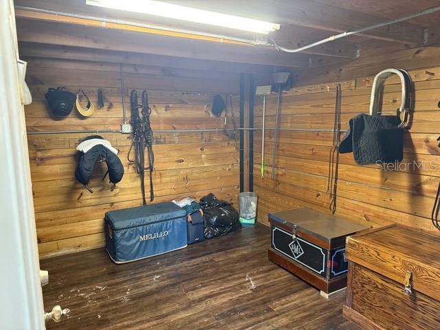 16315 MCGLAMERY RD, ODESSA, FL, 33556