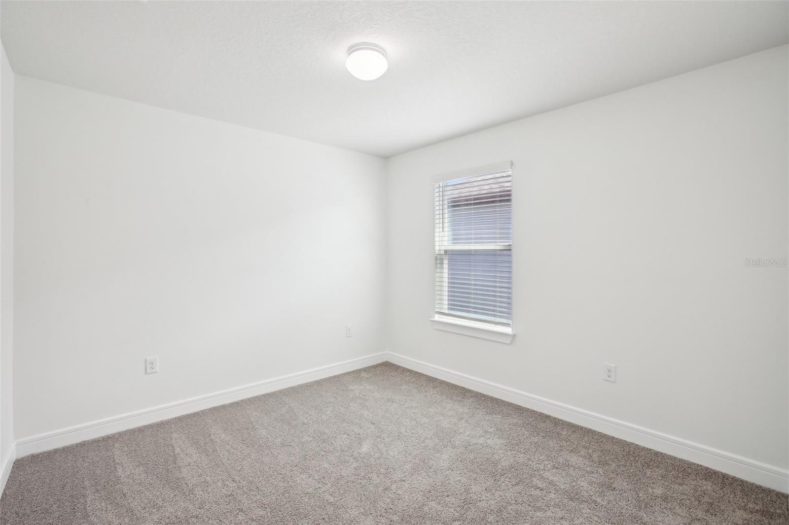 29985 MARQUETTE AVE, WESLEY CHAPEL, FL, 33545