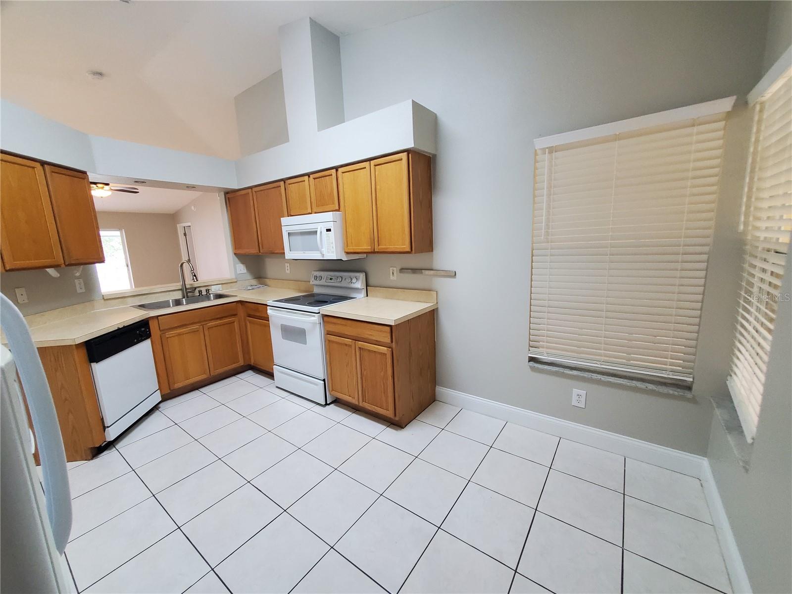 1429 BIRCHSTONE AVE, BRANDON, FL, 33511