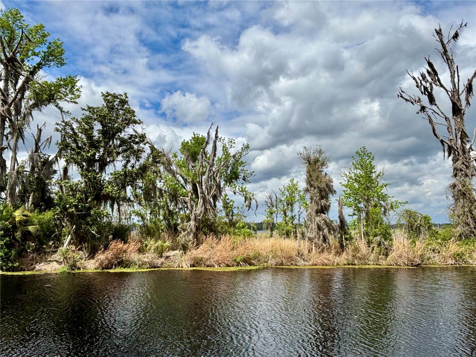 216 LITTLE ORANGE LAKE DR, HAWTHORNE, FL, 32640