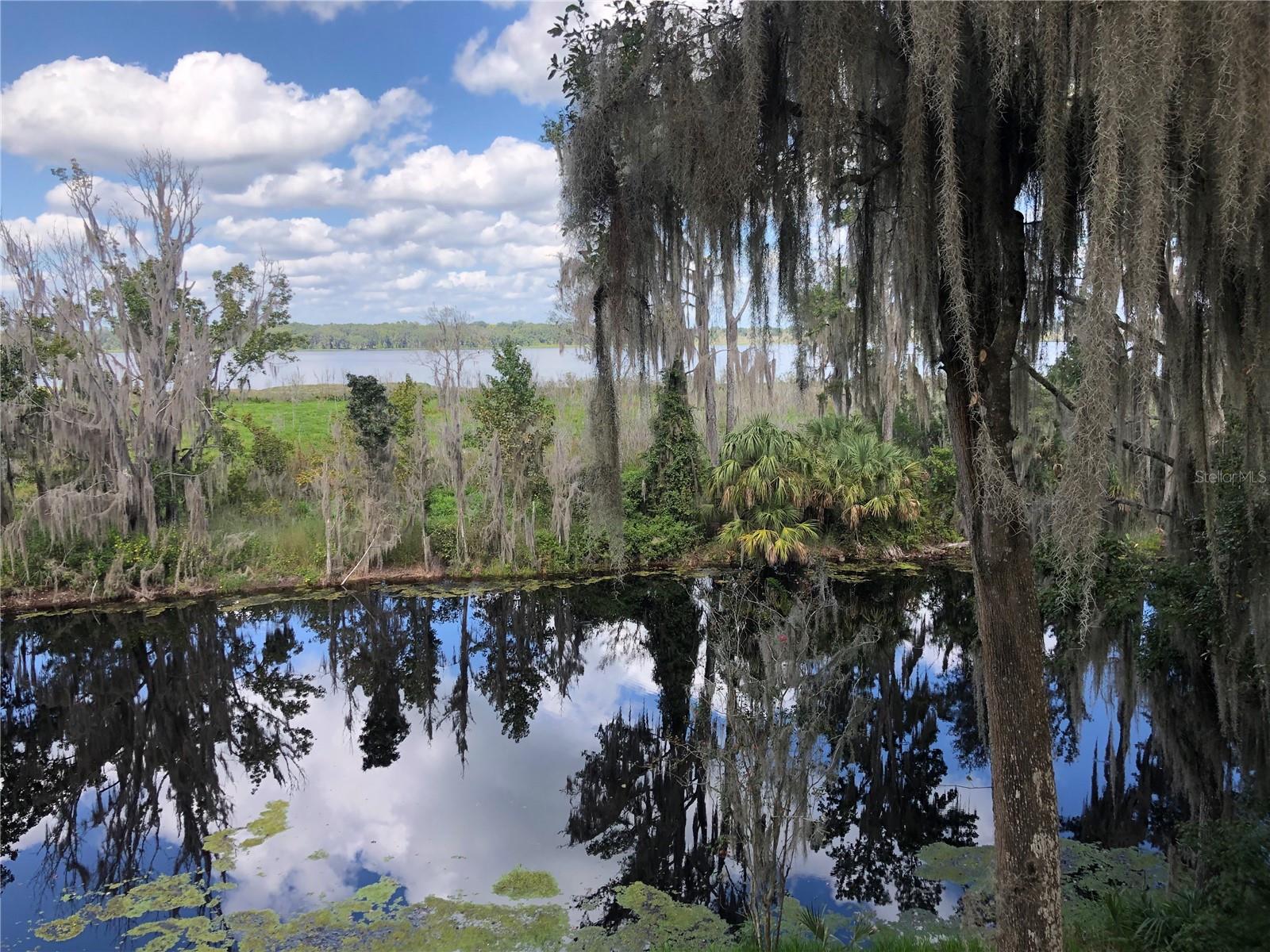 216 LITTLE ORANGE LAKE DR, HAWTHORNE, FL, 32640
