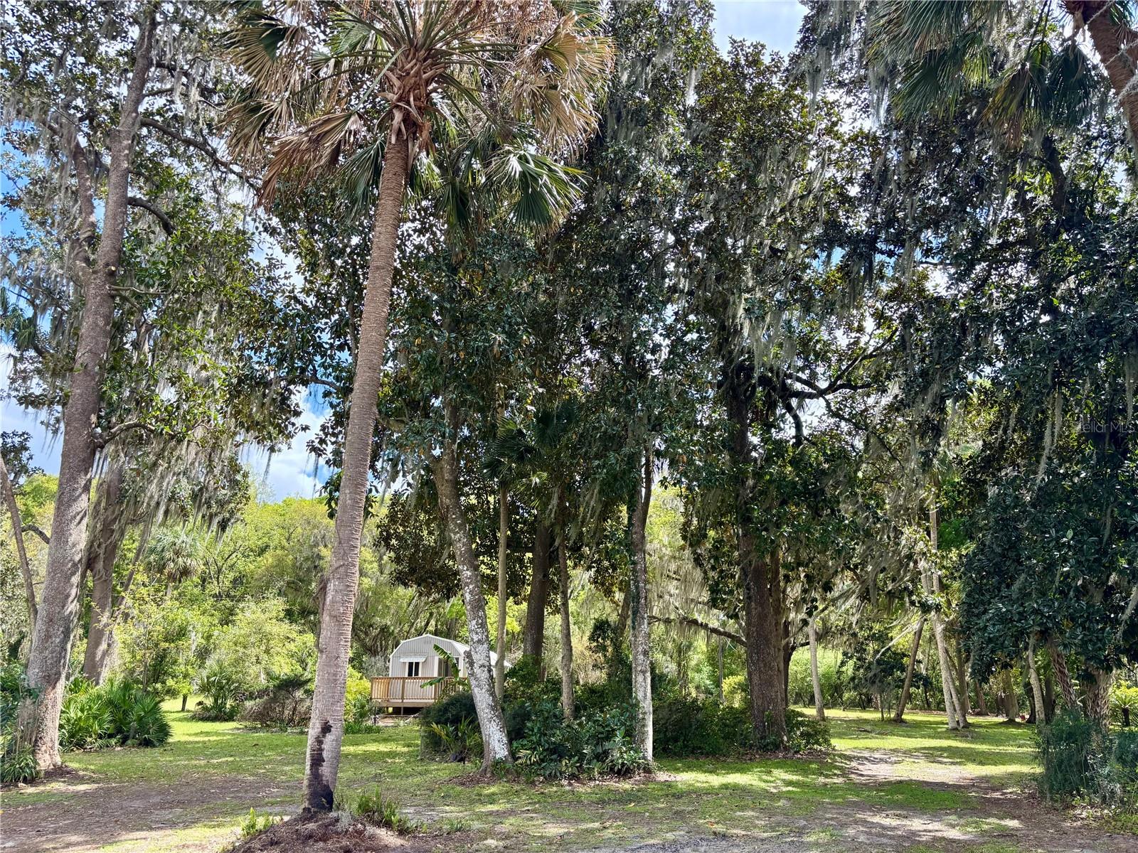216 LITTLE ORANGE LAKE DR, HAWTHORNE, FL, 32640
