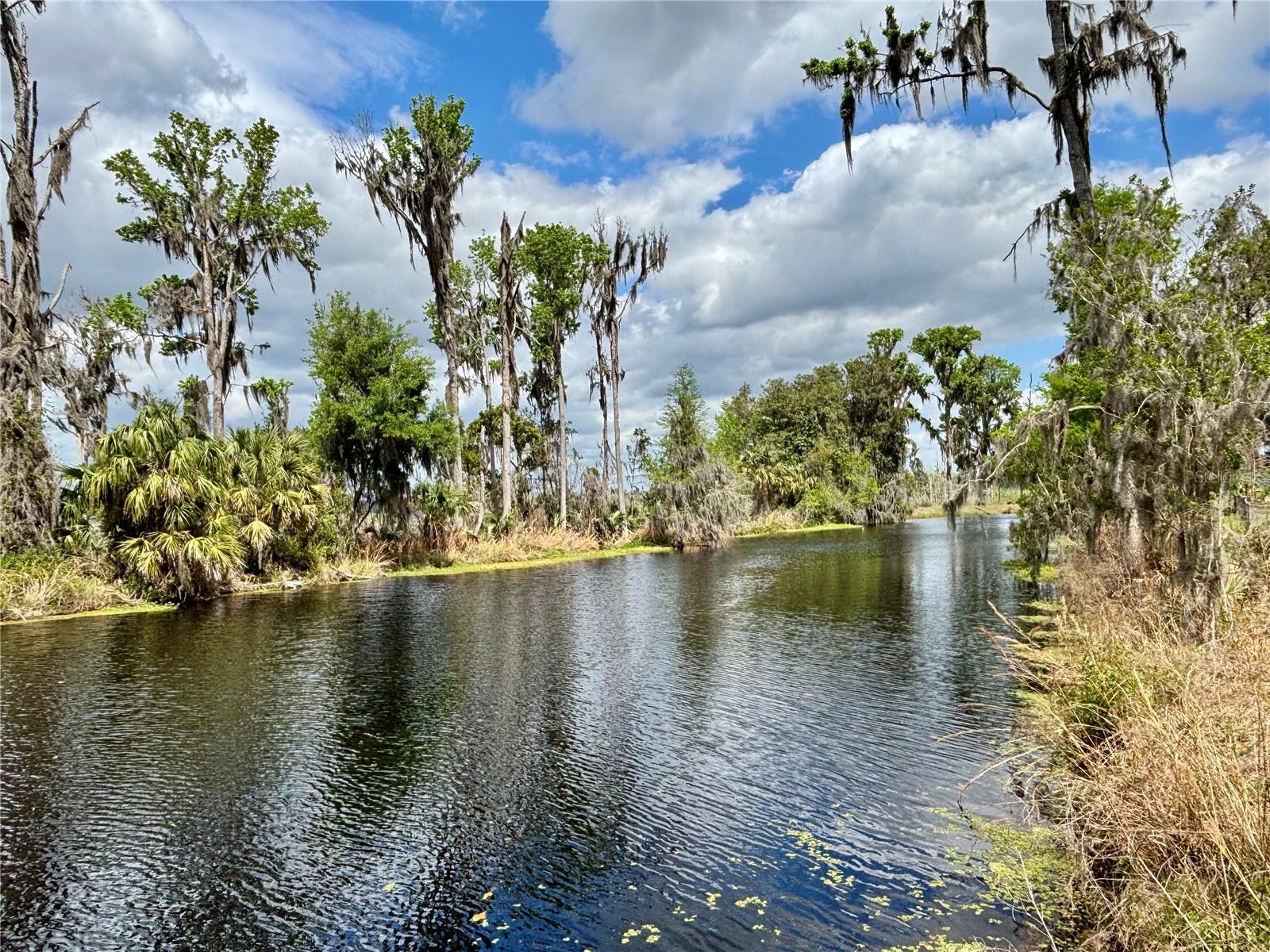 216 LITTLE ORANGE LAKE DR, HAWTHORNE, FL, 32640