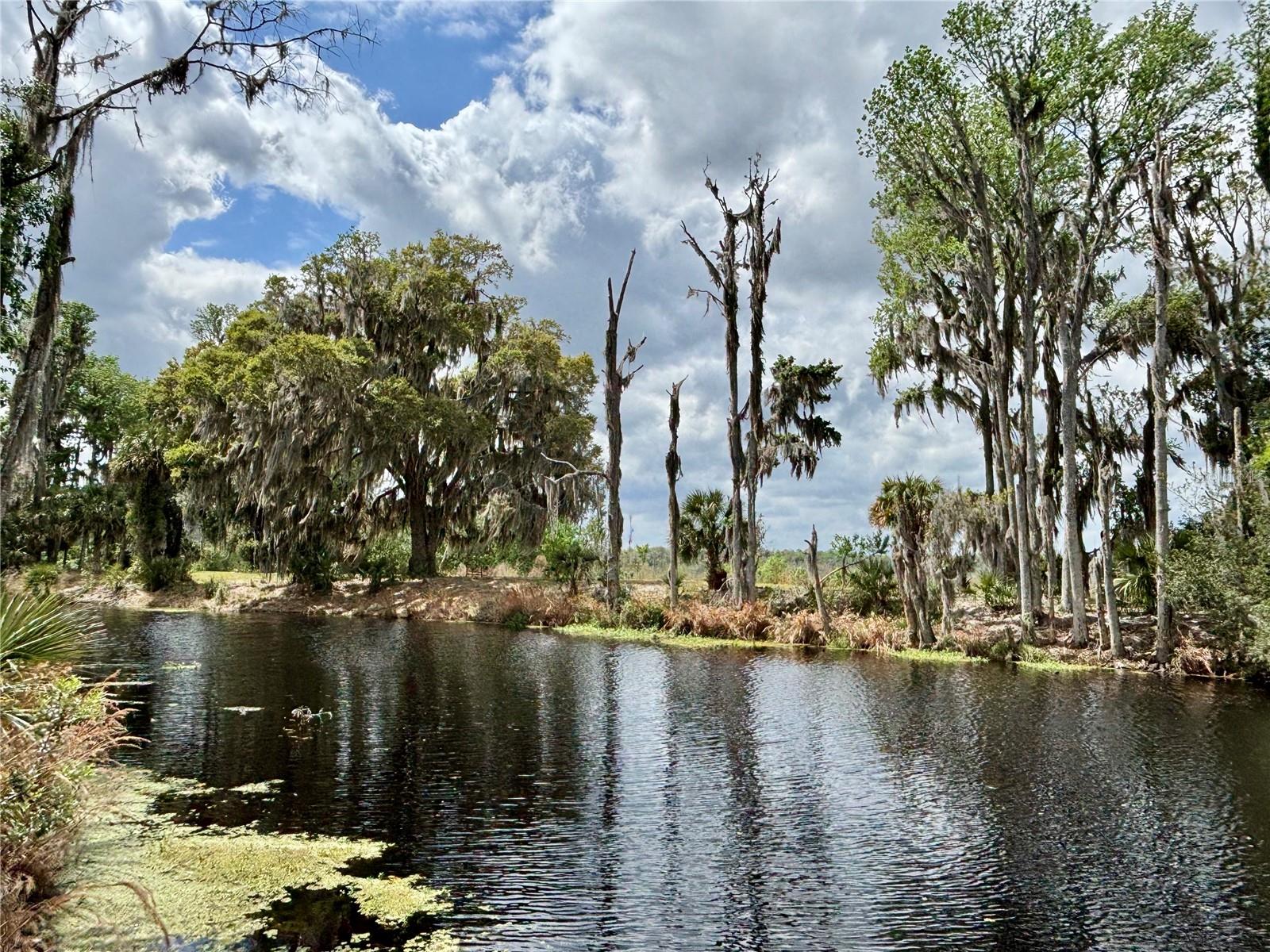216 LITTLE ORANGE LAKE DR, HAWTHORNE, FL, 32640