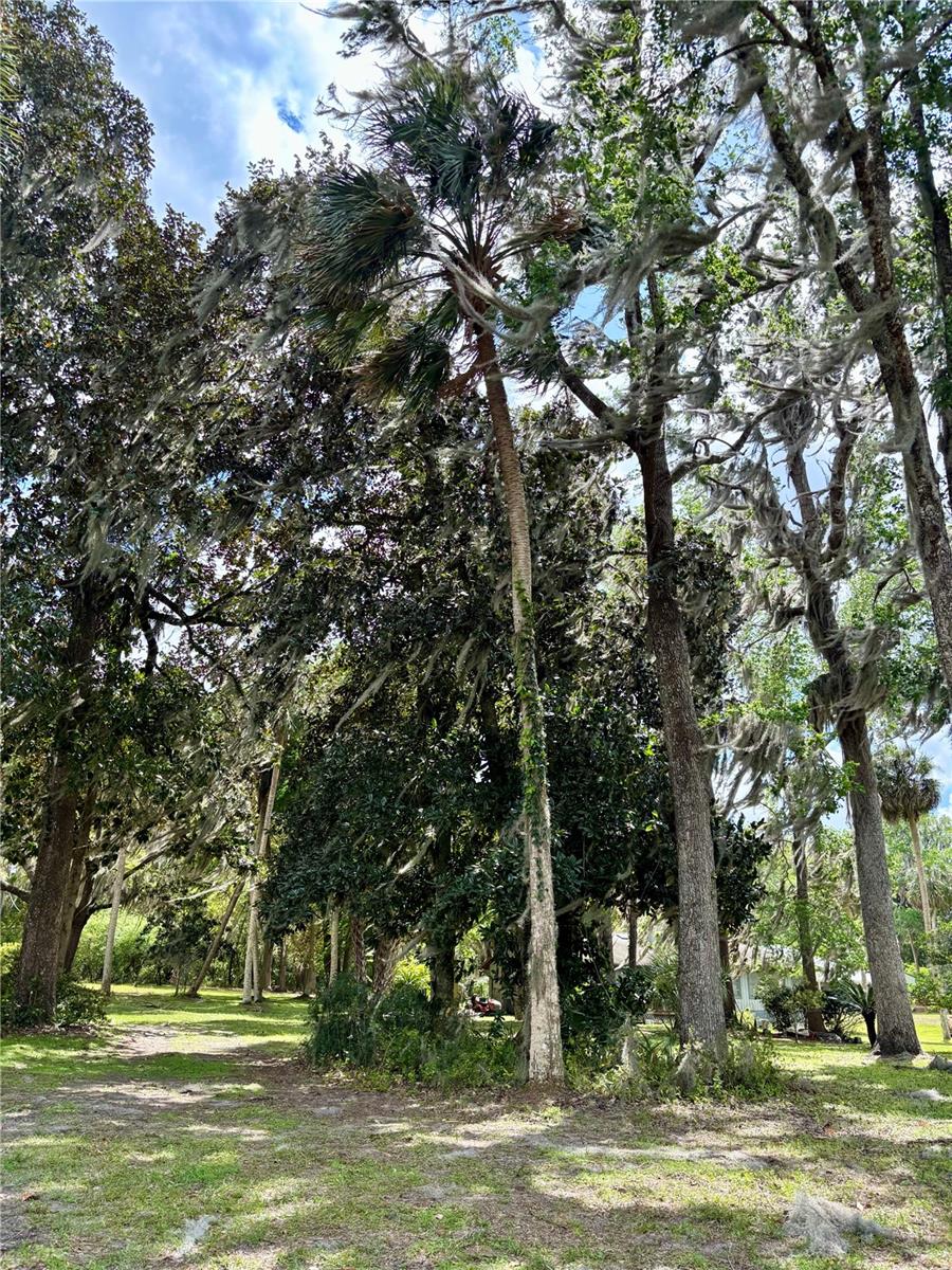 216 LITTLE ORANGE LAKE DR, HAWTHORNE, FL, 32640