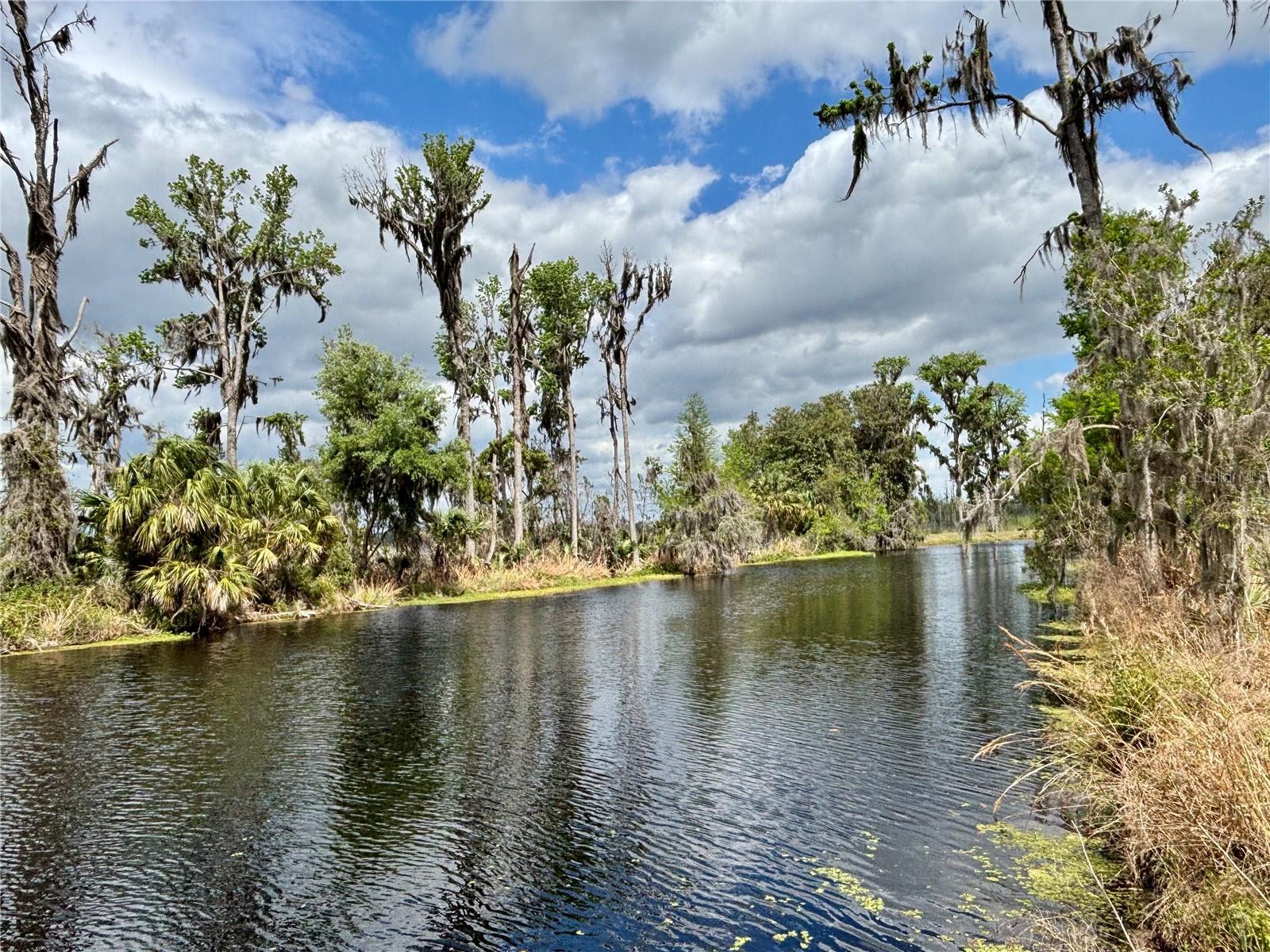 216 LITTLE ORANGE LAKE DR, HAWTHORNE, FL, 32640