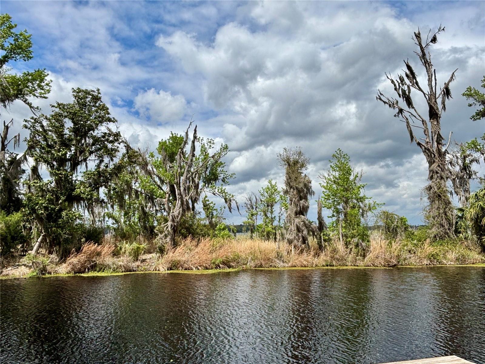 216 LITTLE ORANGE LAKE DR, HAWTHORNE, FL, 32640