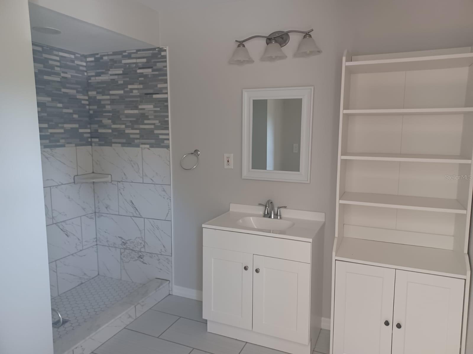 11308 N OAKLEAF AVE, TAMPA, FL, 33612