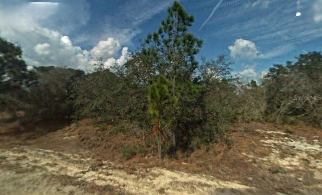 394 CROWN DR, LAKE PLACID, FL, 33852